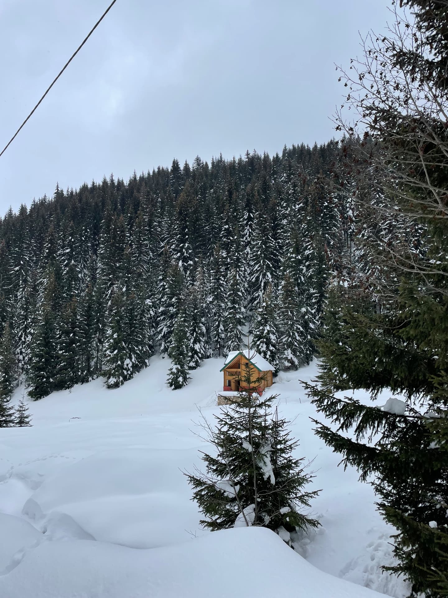 Wooden cabin beneath snow-covered spruce forest at Prevalla in the Sharr Mountains, Kosovo
