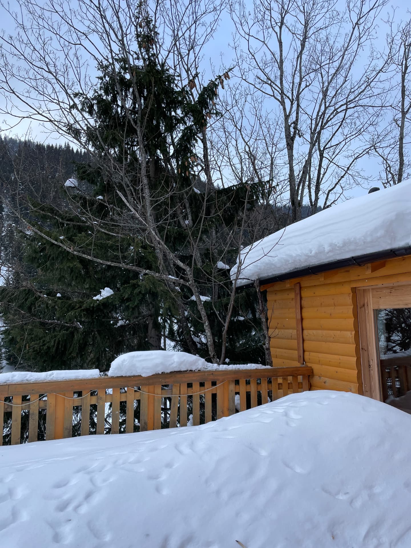 A cabin buried in snow, Prevalla