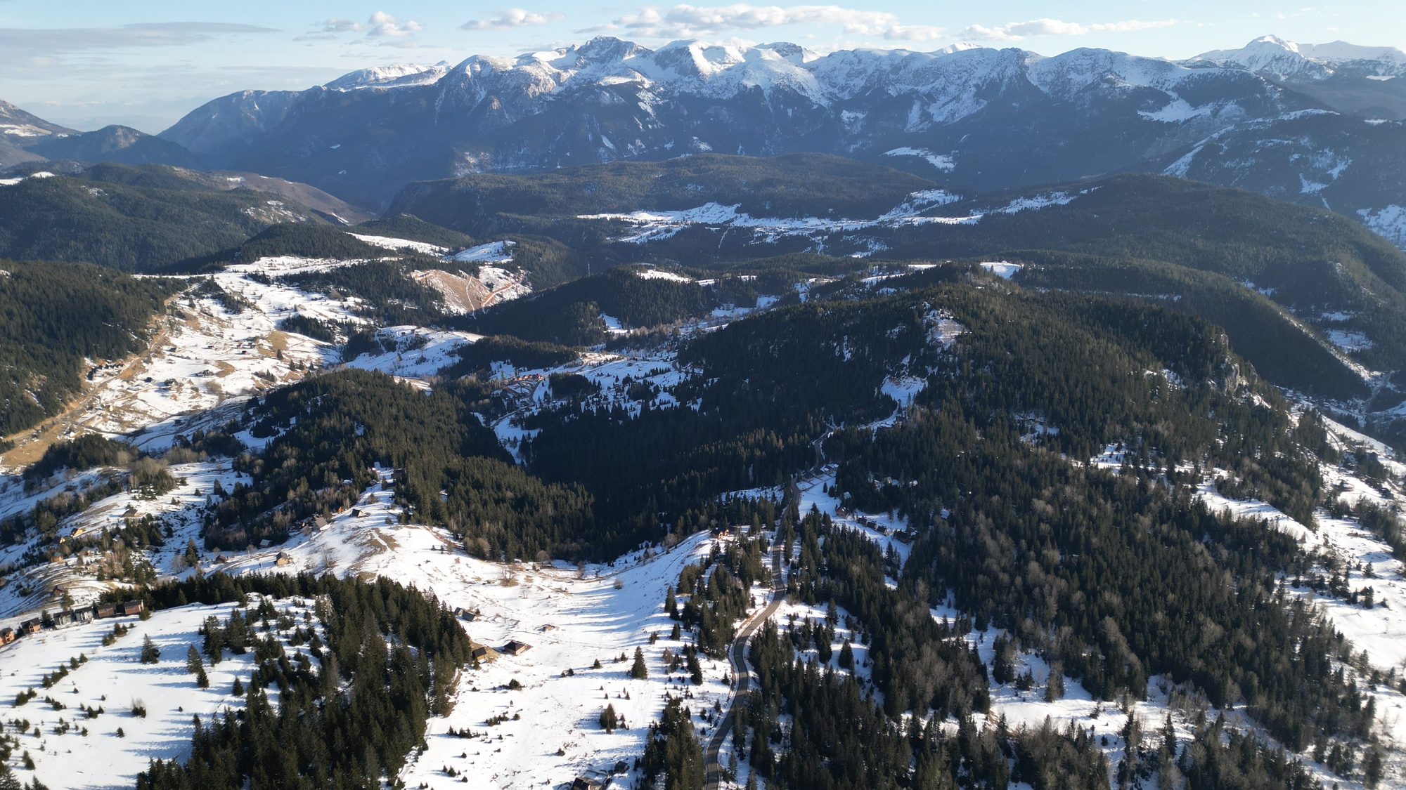 Pines above Boga