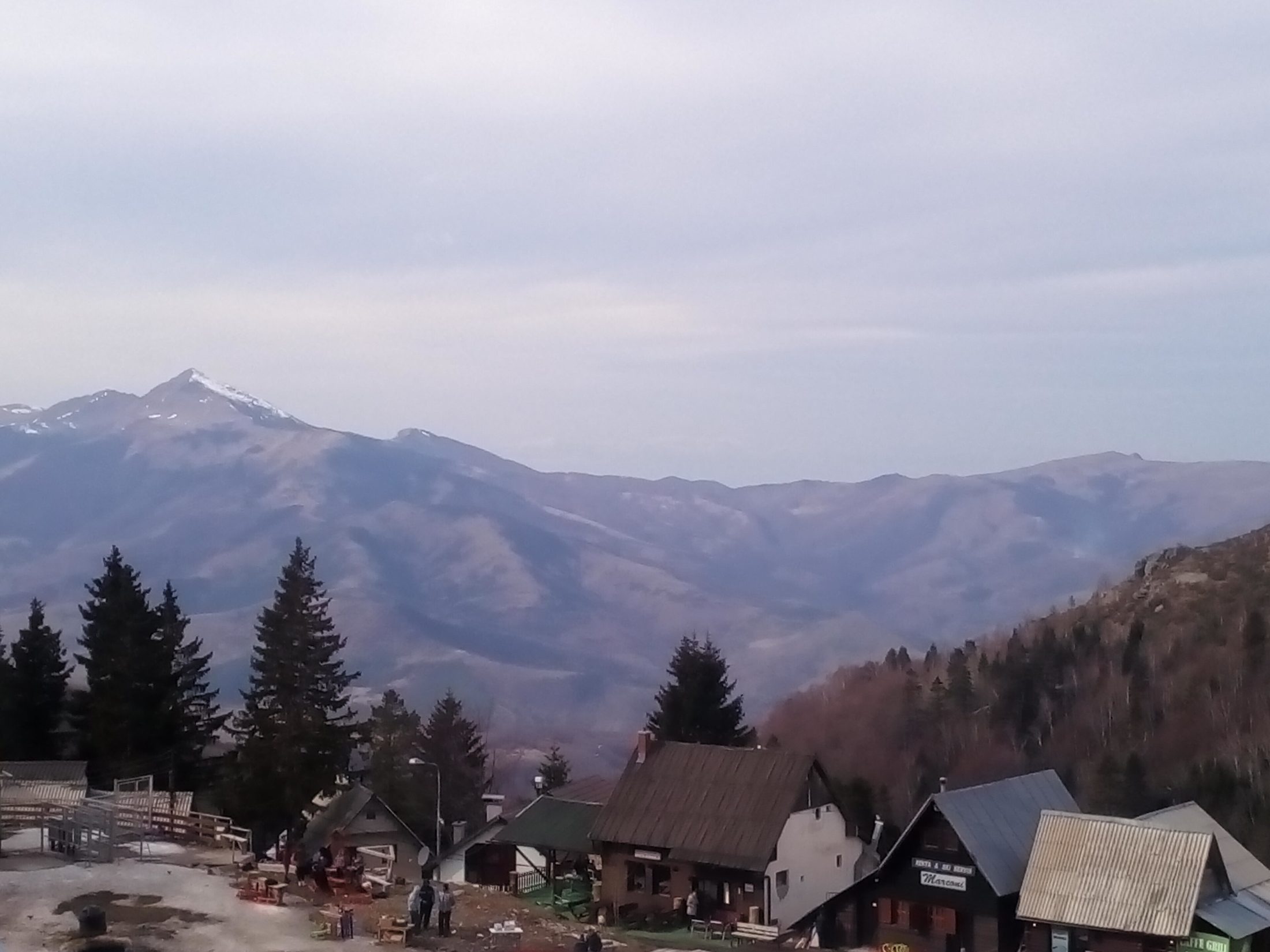 Open snow-dusted mountain plateau with sparse pines at Brezovica