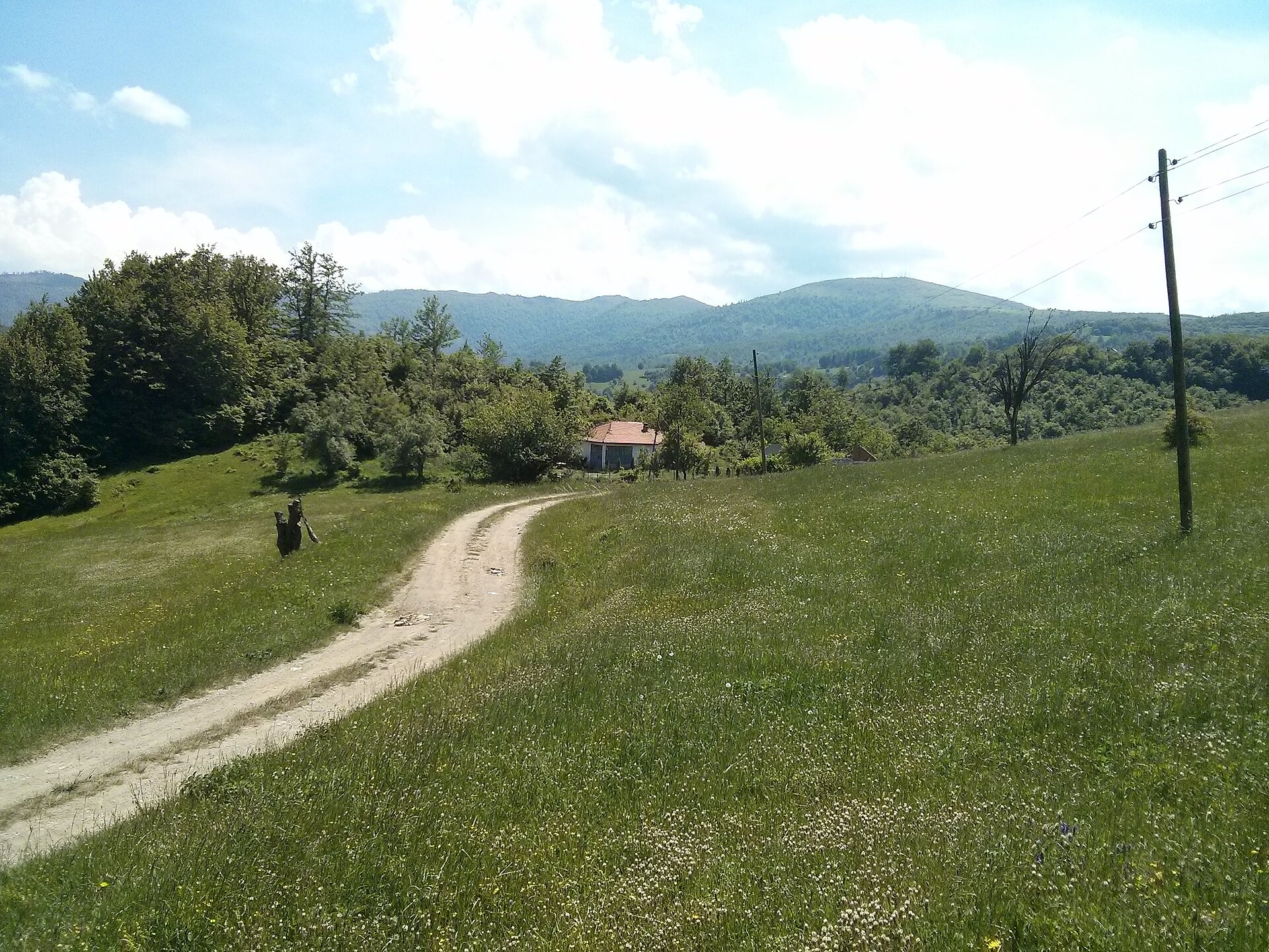 Wildflower meadow and forested hills at the village of Jezerc near Ferizaj