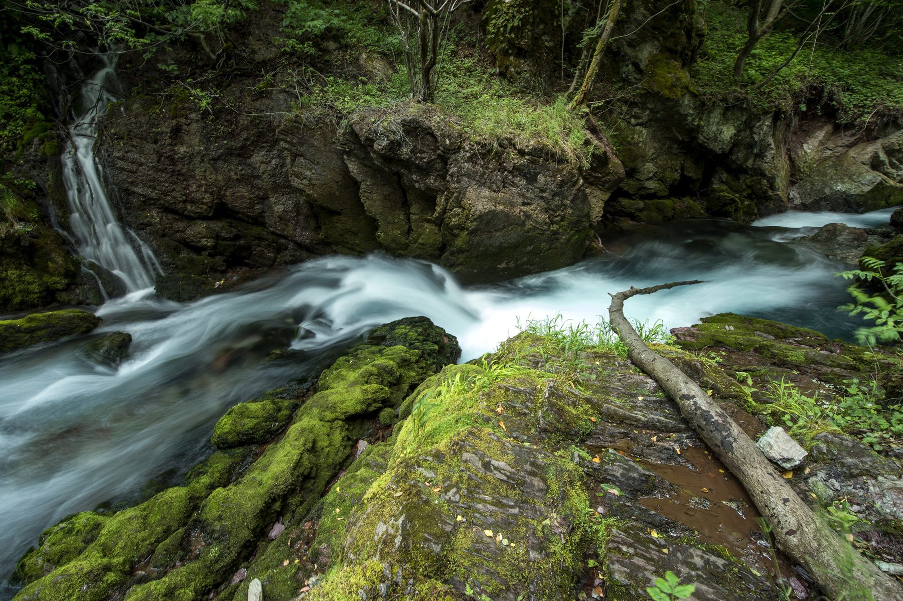 The source of the White Drin, Radavc